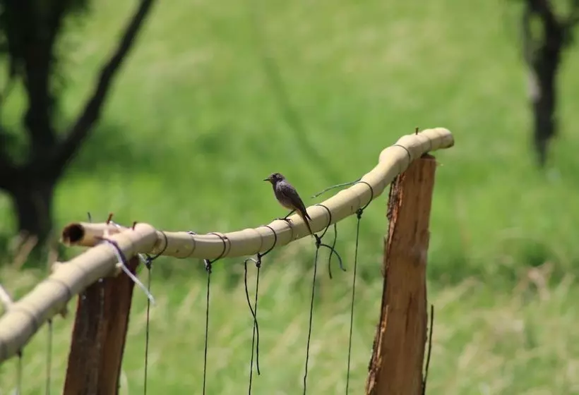 Hostelli Hôtellerie De L Abbaye