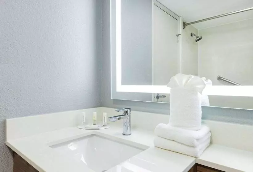 ホテル Hawthorn Extended Stay By Wyndham Wichita Airport