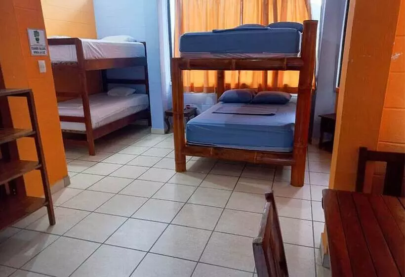 Hotelli Las Palmeras