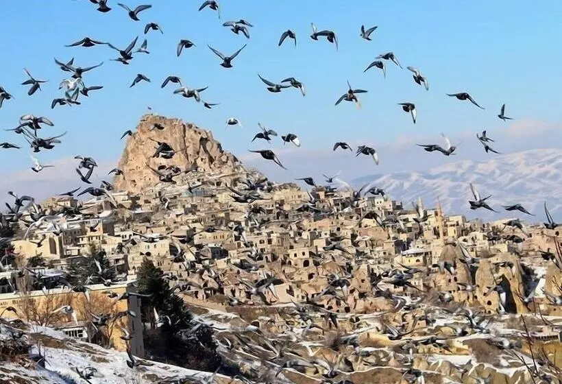 Hotelli Pome Granate Cave