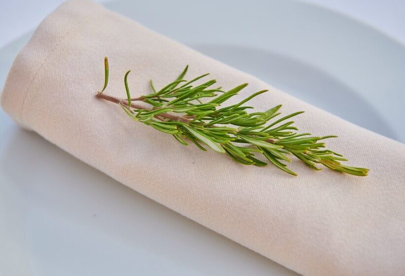 Es Figueral Nou Hotel Rural & Spa Adults Only +12