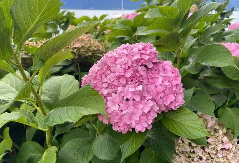 Lovely 1 Bed Cottage In St Catherine Jamaica