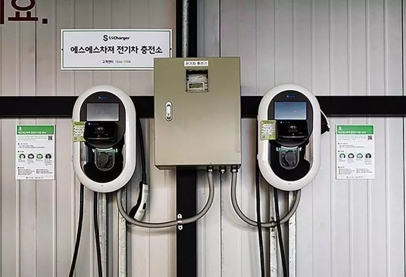 Motelli The Godfather Of Jukdo Market In Pohang