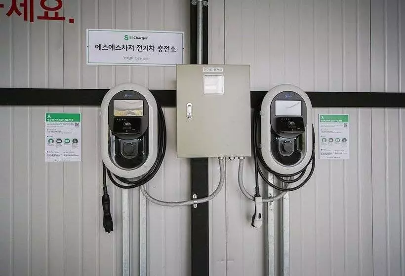 Motelli The Godfather Of Jukdo Market In Pohang