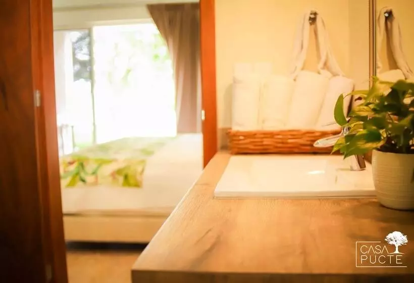 پانسیون Casa Pucté Bacalar