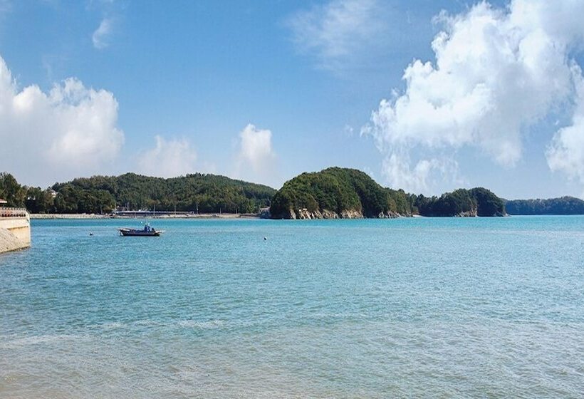 Daebudo 1985 Pension