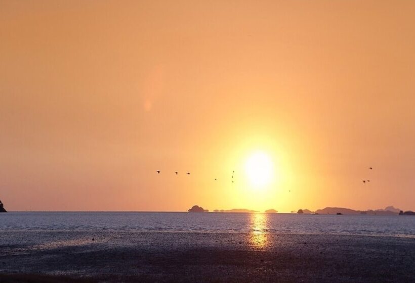 Daebudo 1985 Pension