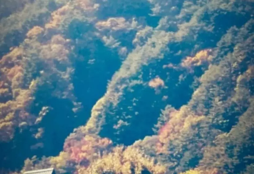 Gangneung W Pension