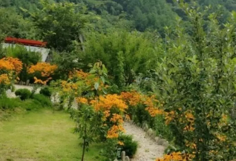 Gangneung W Pension