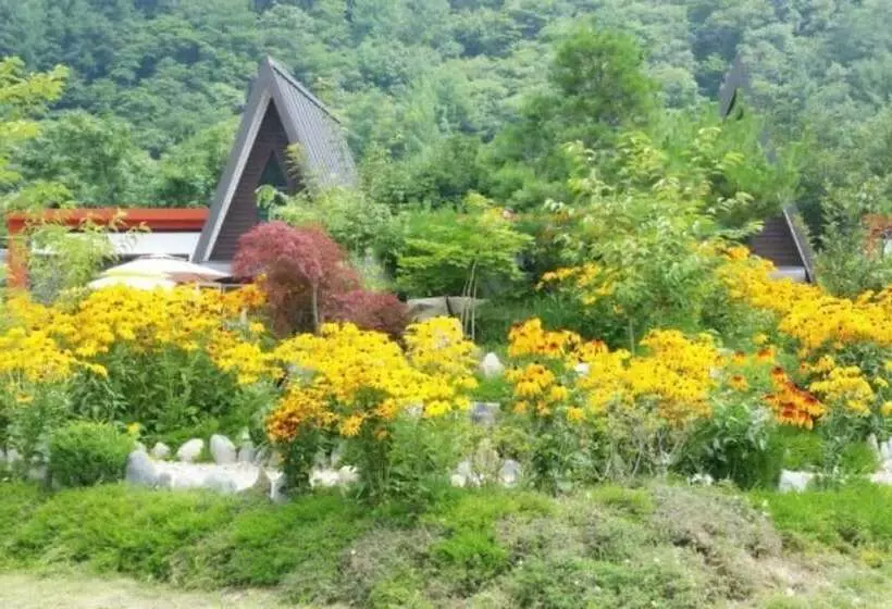 Gangneung W Pension