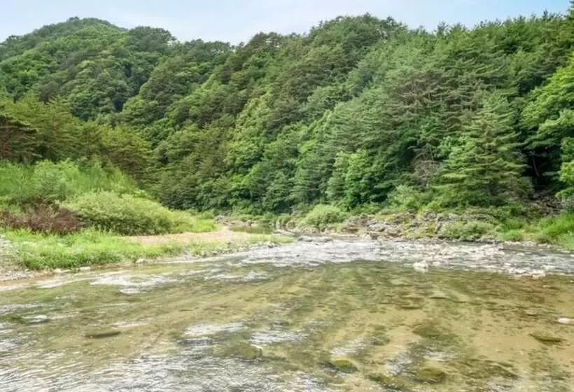 Gangneung W Pension