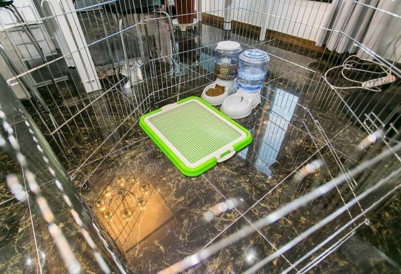 Gapyeong Solga Pension