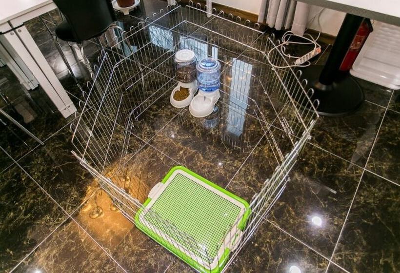 Gapyeong Solga Pension