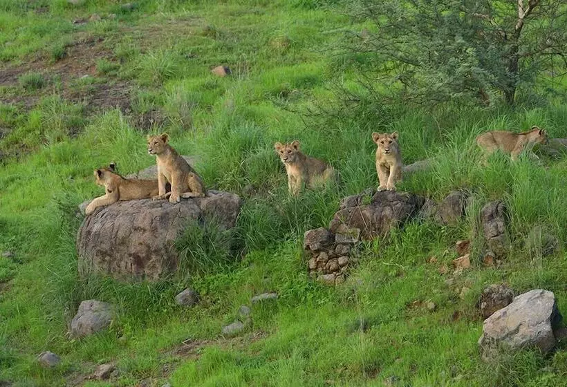 ホテル Aramness Gir National Park