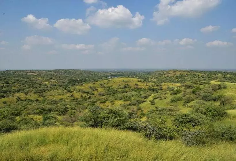 ホテル Aramness Gir National Park