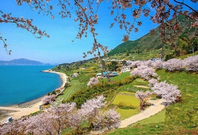Namhae Zen House Pension