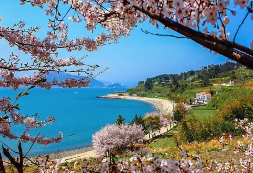 Namhae Zen House Pension