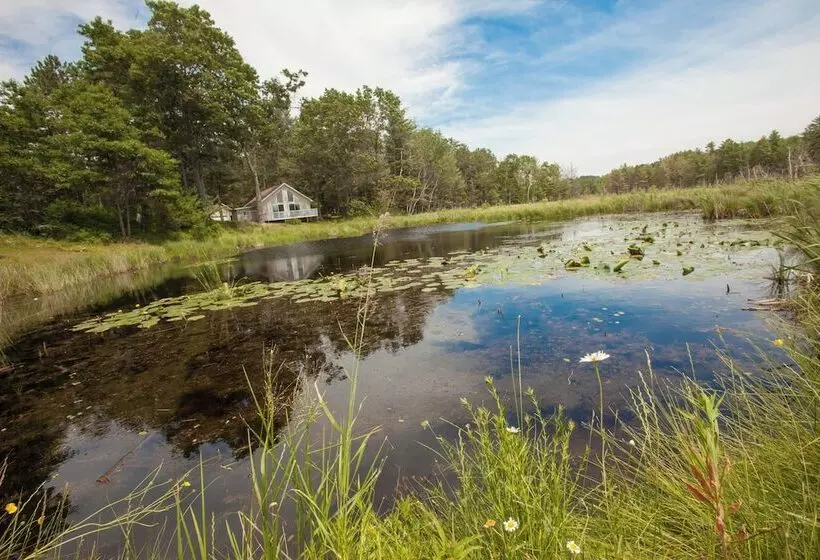 Our Wielgot Tradition