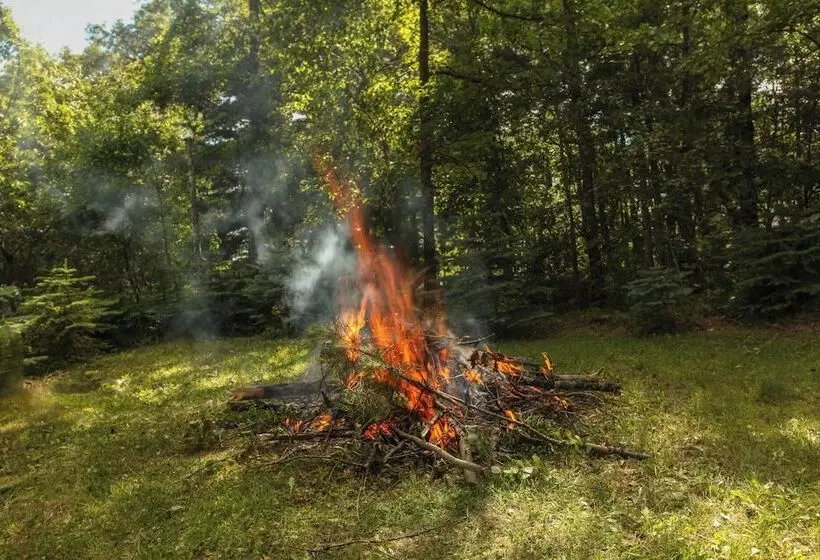 Our Wielgot Tradition