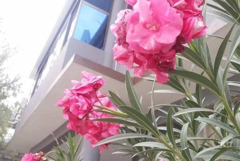 پانسیون Alpine Pasture Guest House Gilgit