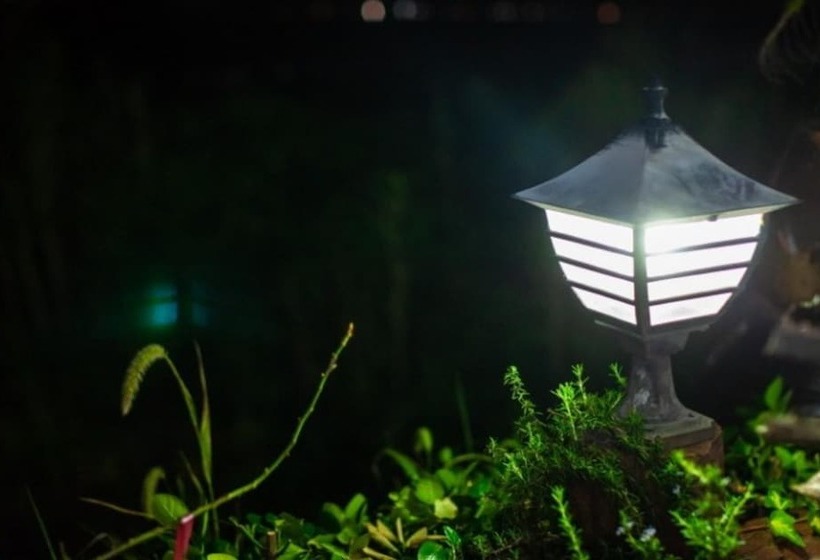 Seogwipo Hwamok Pension