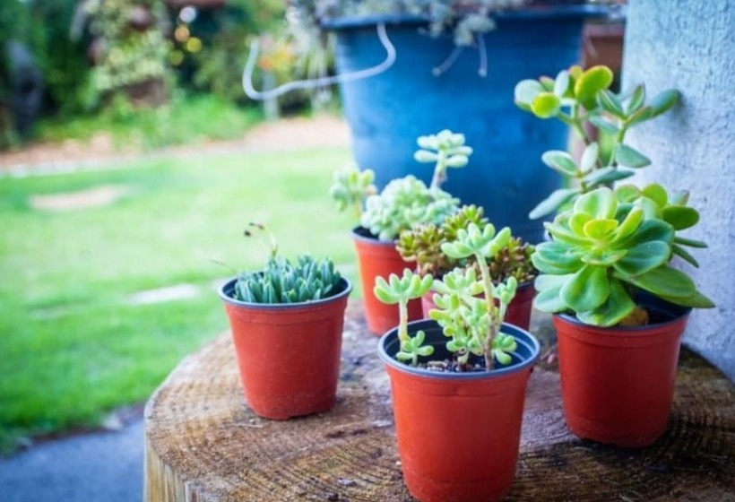 Seogwipo Hwamok Pension