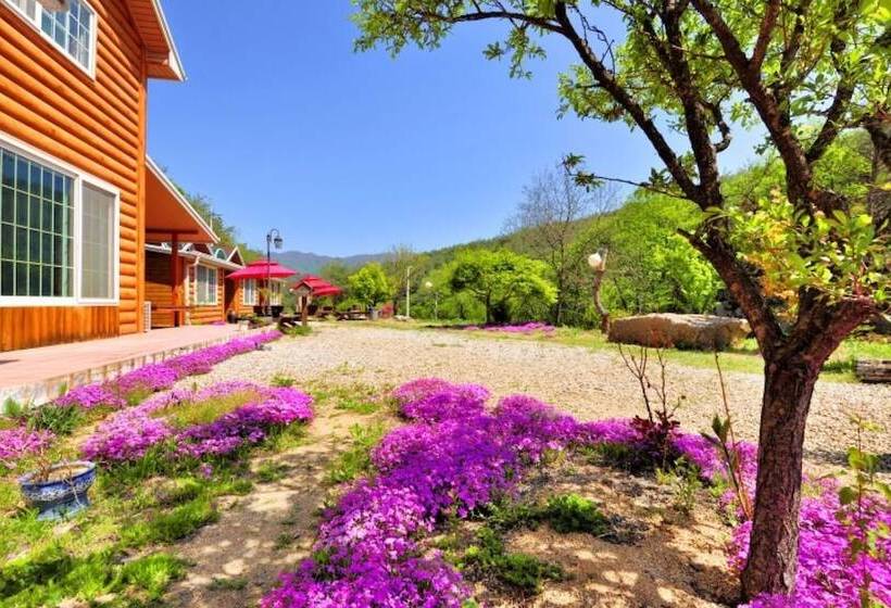 Yanggu Kwakgol Pension