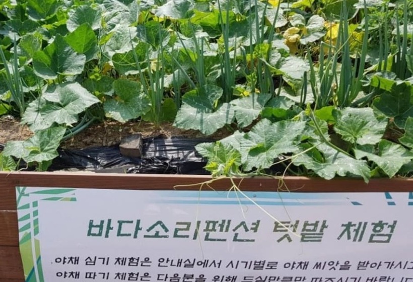 Boryeong Badasori Pension