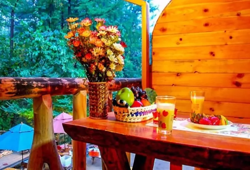 Gapyeong Spring Aroma Pension
