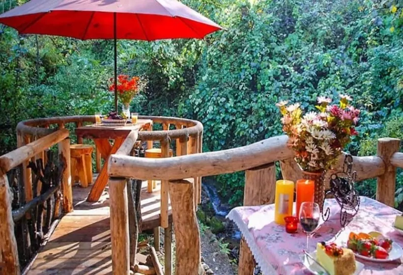 Gapyeong Spring Aroma Pension