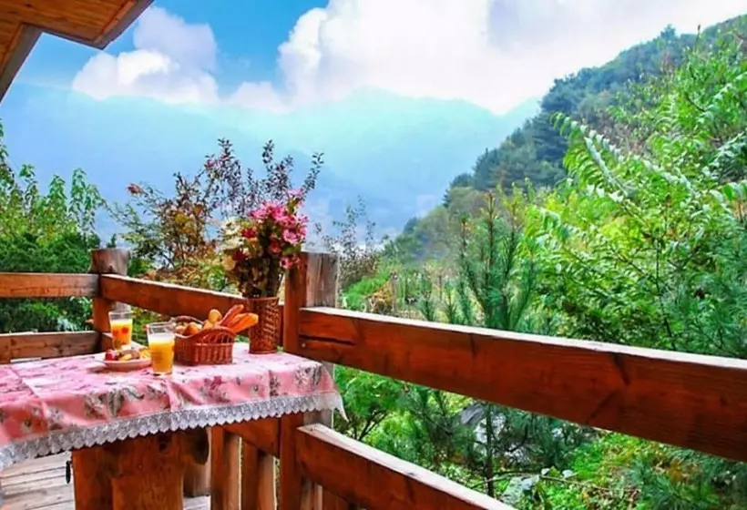 Gapyeong Spring Aroma Pension