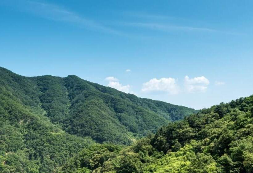 Spa Pension In The Forest Of Gapyeong