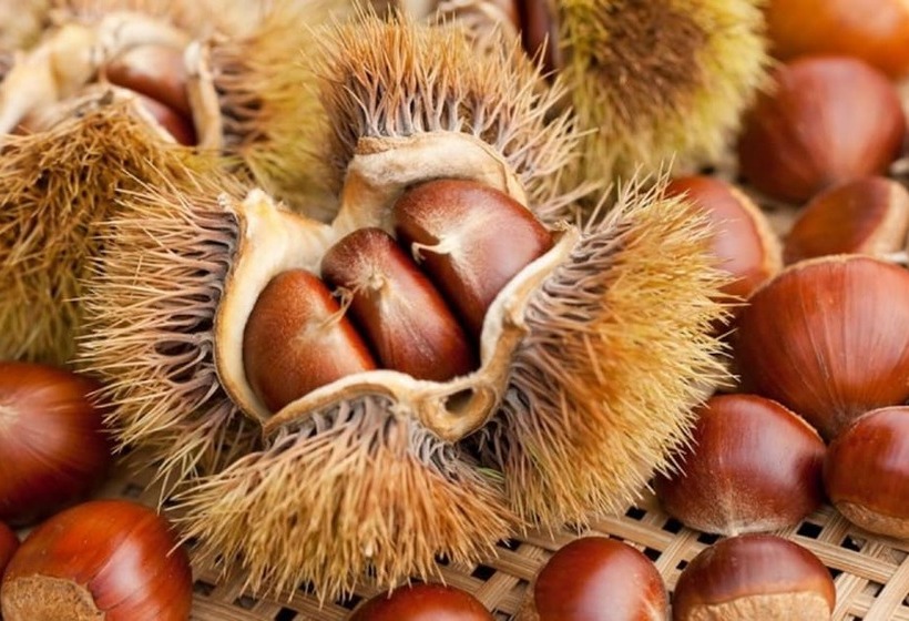 Miryang Eoleumgol Hanok Pension