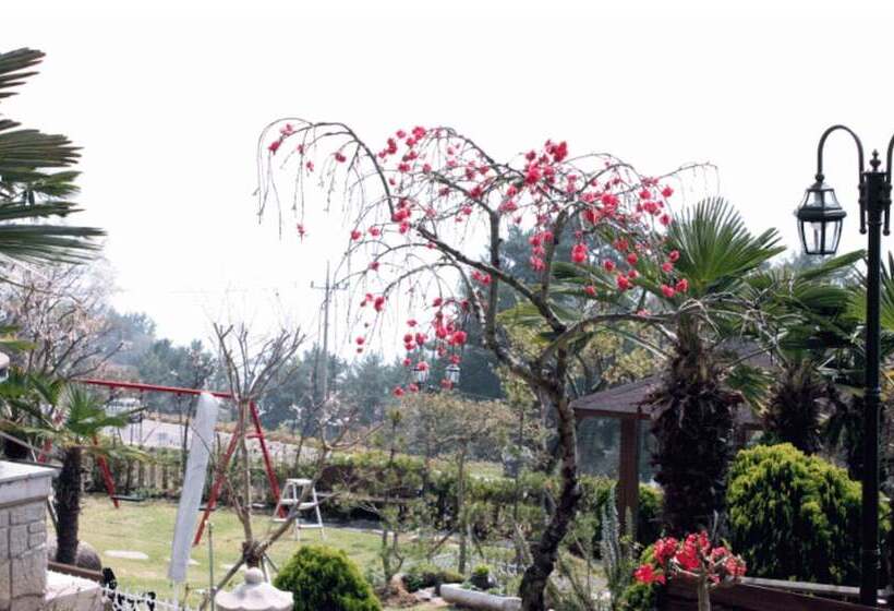 Namhae Skyblue Sea Pension