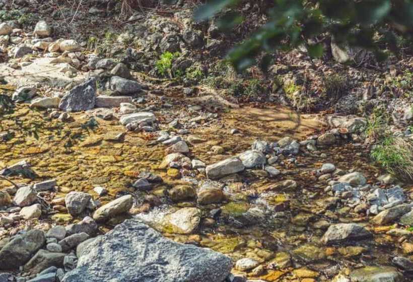 פנסיון Gapyeong Dior Pool Villa