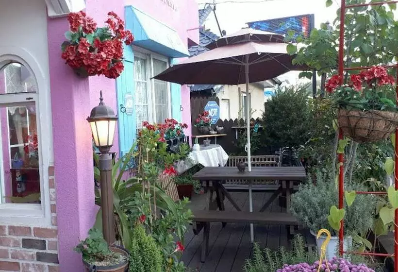 ペンション Samcheok Ecclesia S Morning Guest House