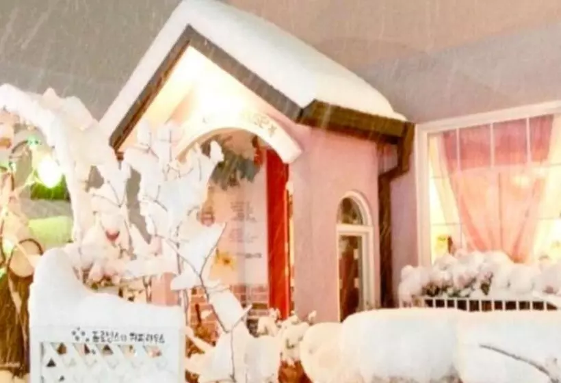 ペンション Samcheok Ecclesia S Morning Guest House