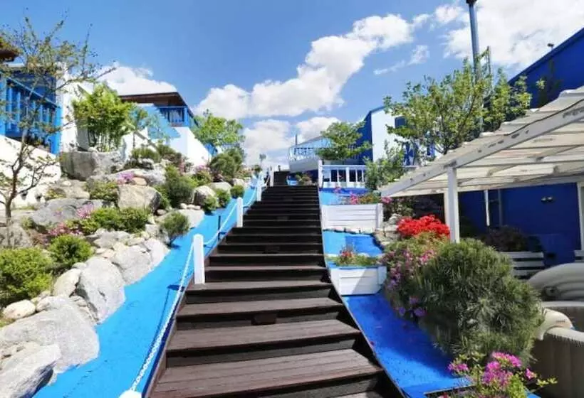 ペンション Yangyang Lodes Pool Villa