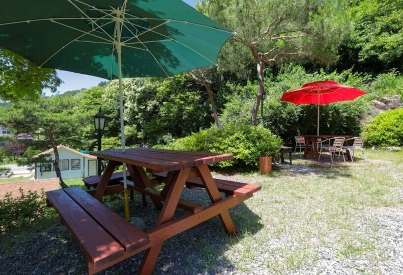 Pocheon Starlight Sonata Pension