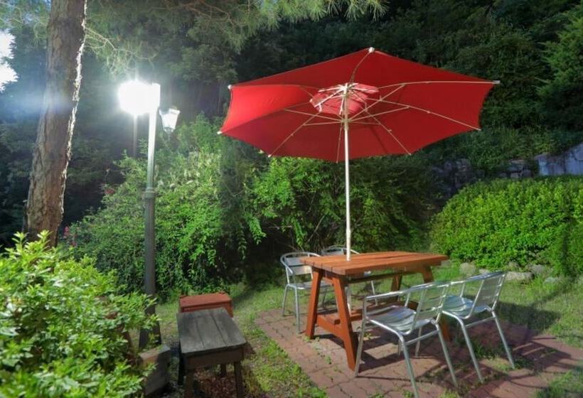 Pocheon Starlight Sonata Pension