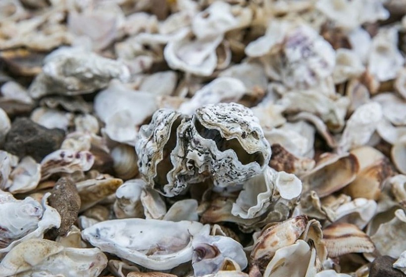 Taean Lunasol Pension