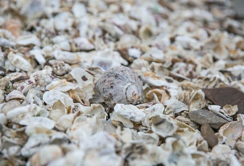 Taean Lunasol Pension