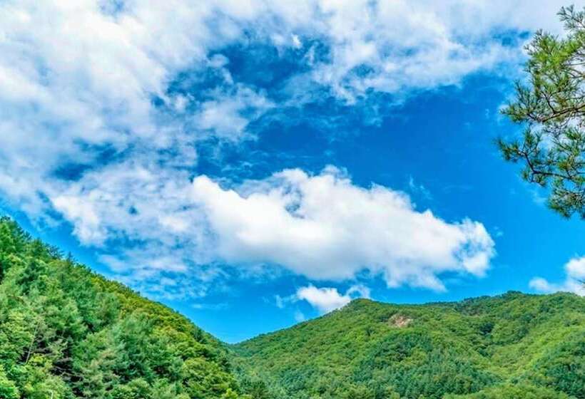 Yangpyeong Galgisan Forest Hill Pension
