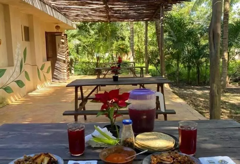Hotelli Eco Cabañas Judith Bacalar