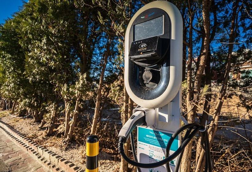 فندق على الطريق Goseong Hotel Patio