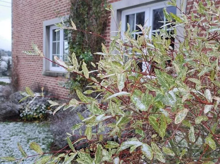 ペンション La Renée Sens