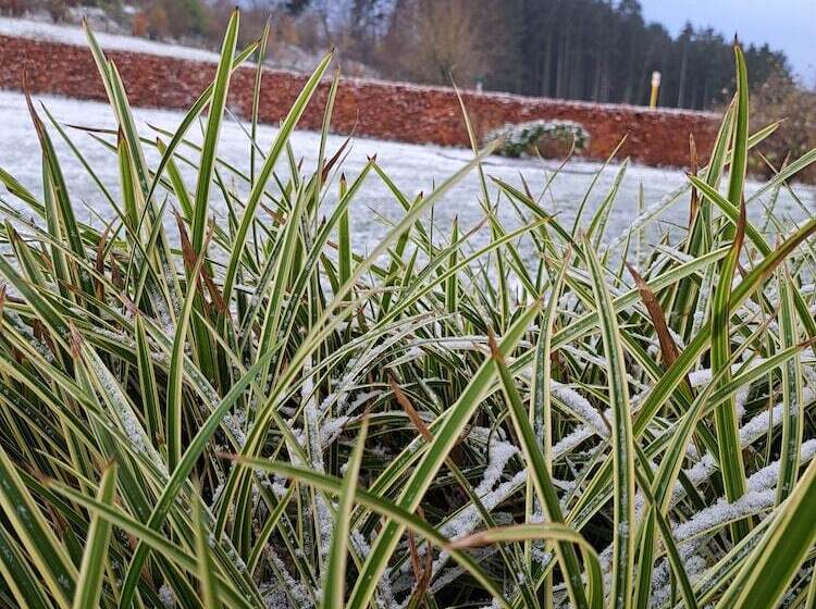 Пансион La Renée Sens