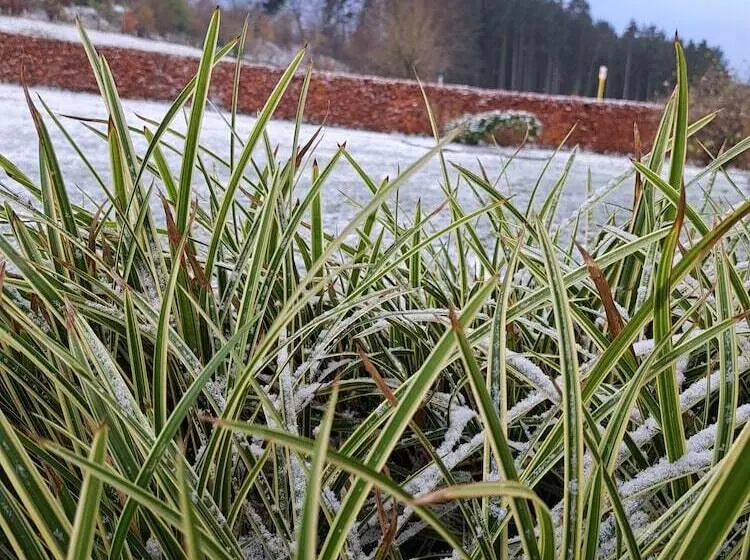 ペンション La Renée Sens