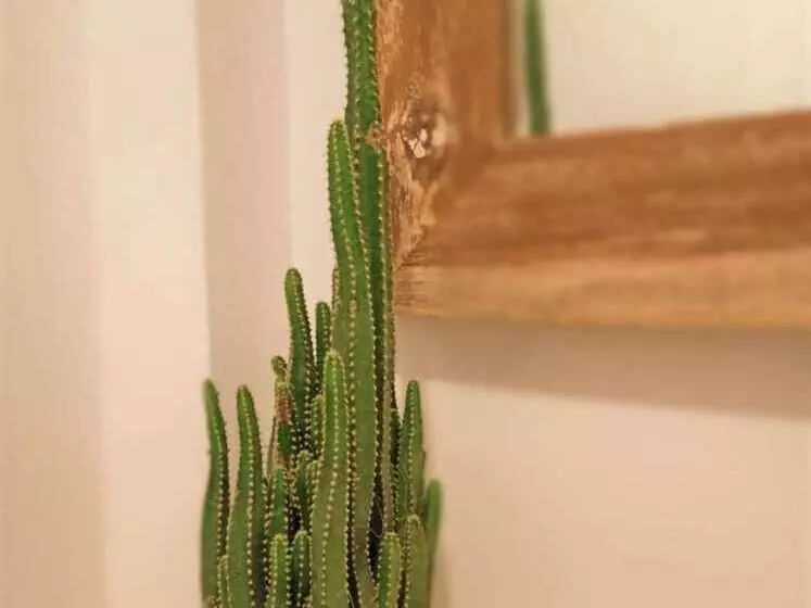 Majatalo The Eight Bali   Seminyak