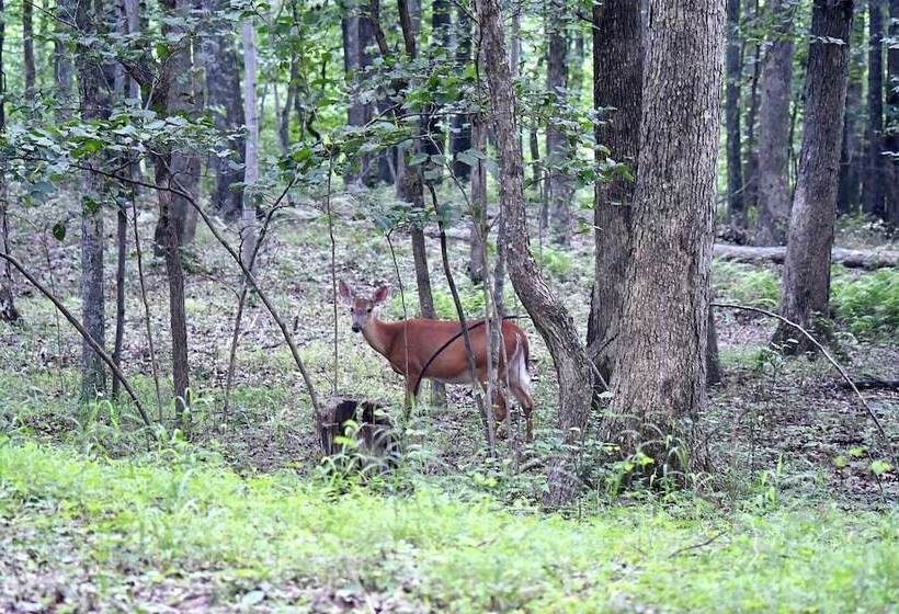 River Walk Cottage   Romantic Escape